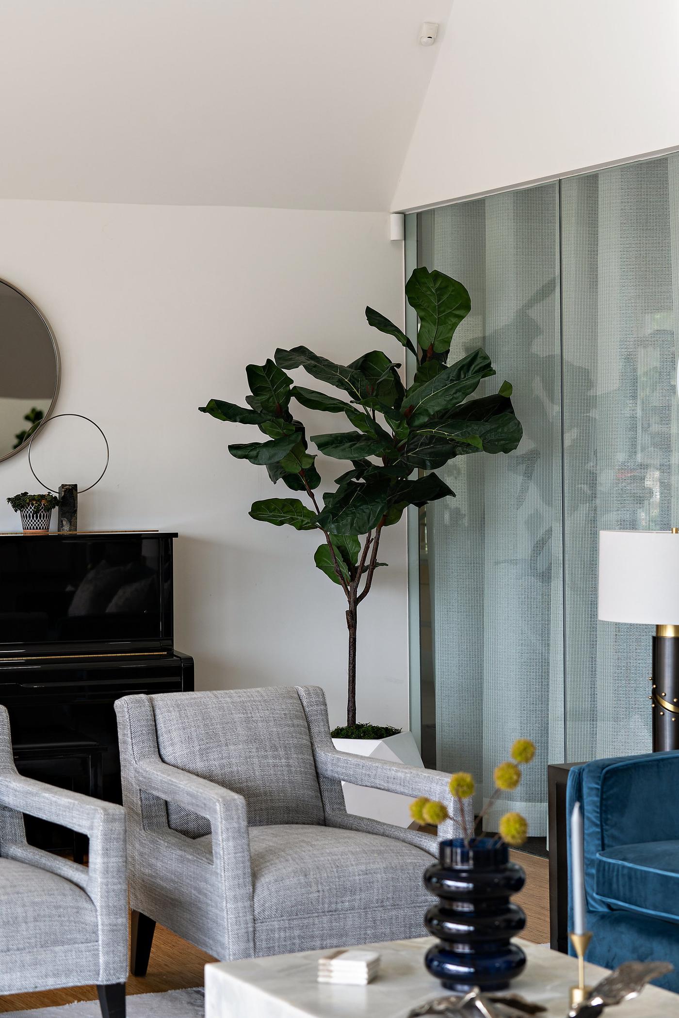 403 Graciosa, photo 185