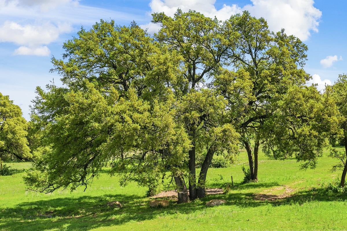 Ranch and land photograph