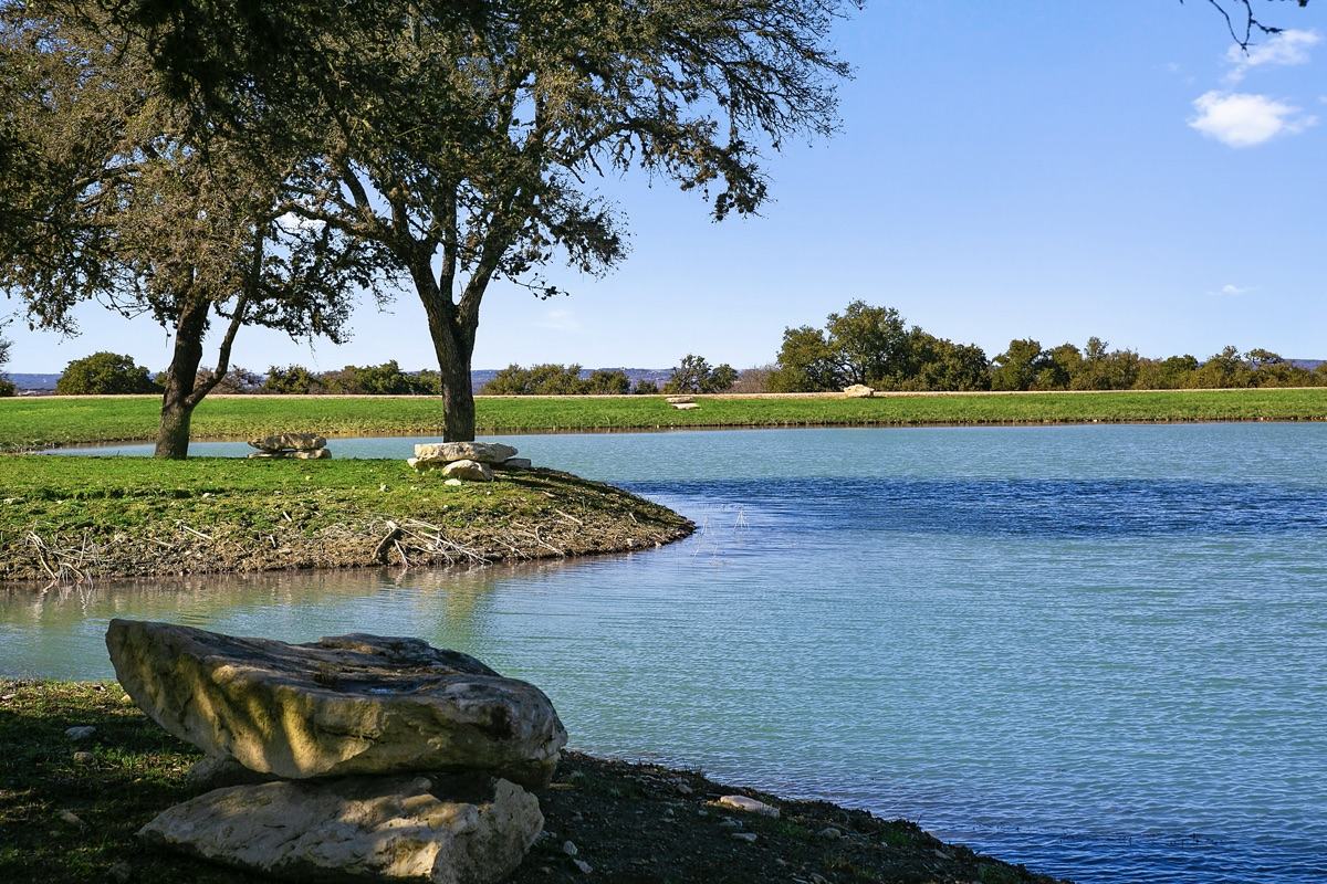 Live oak over a ranch lake