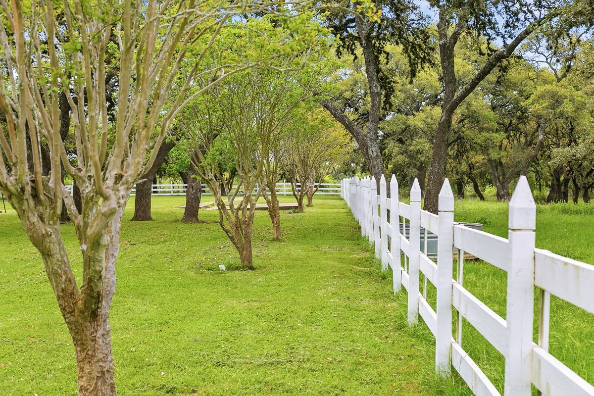 Ranch pasture with live oaks and a white fence line